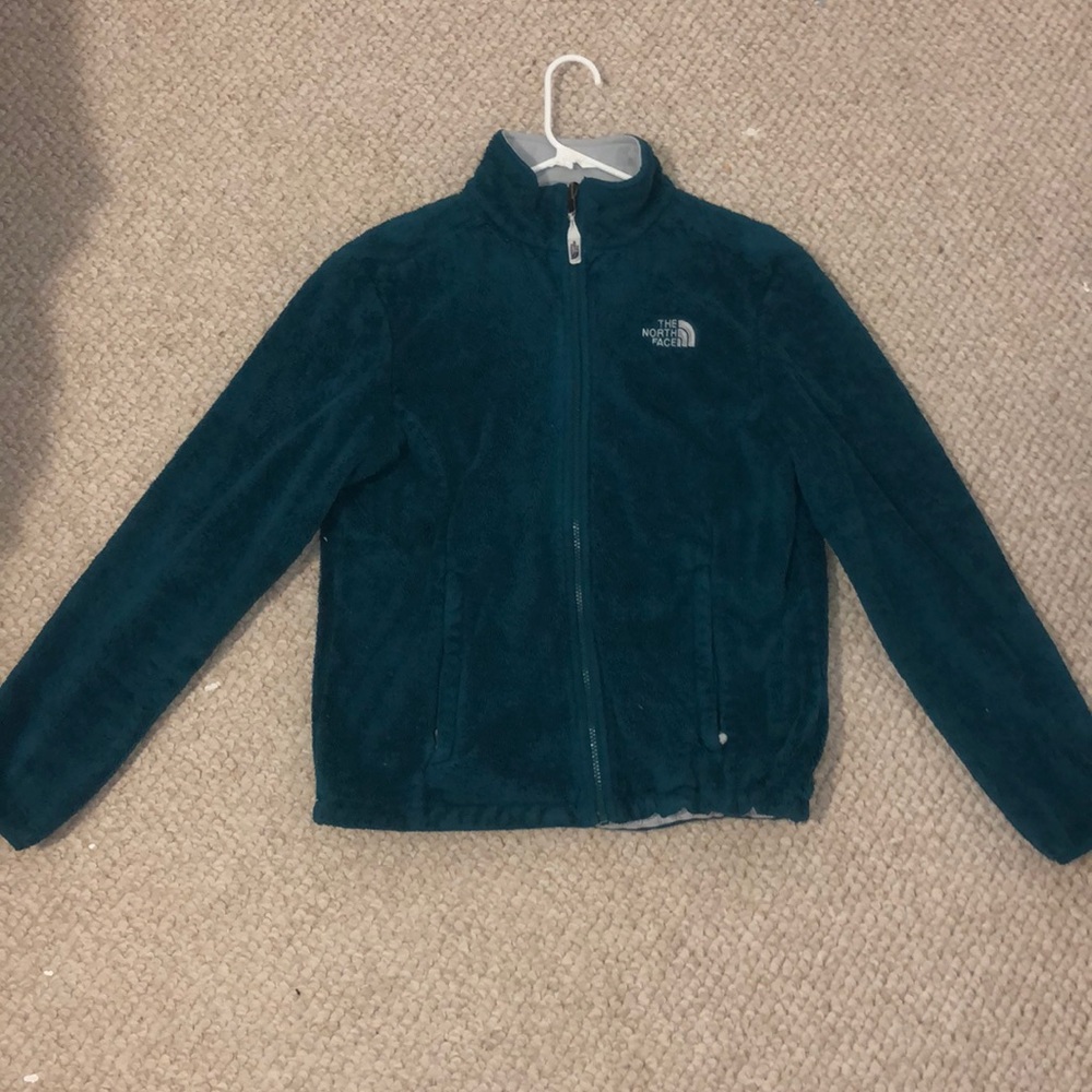 The north face blue jacket